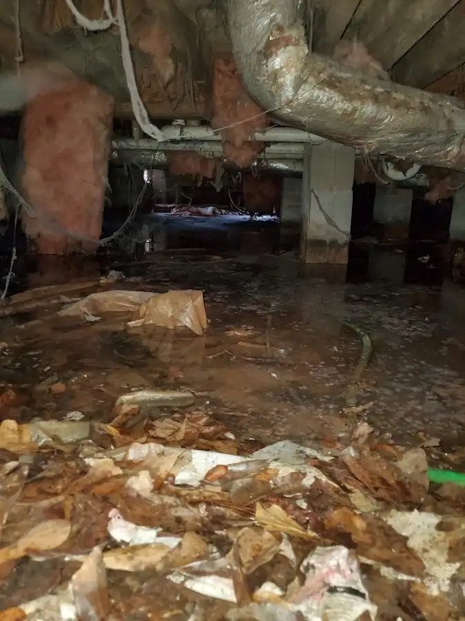 Crawl space flood assessment for Commercial Water Damage Restoration in Hastings